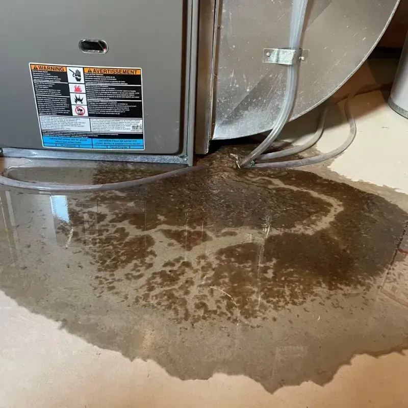 Appliance Leak Cleanup in City of Lexington, VA